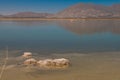 Amazing landscape with a lake in the middle of the desert with shades in the water of blue and turquoise green Royalty Free Stock Photo