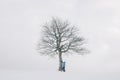 Amazing landscape with a man near lonely snowy tree Royalty Free Stock Photo