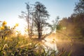 Amazing landscape of misty sunrise over river and meadow Royalty Free Stock Photo