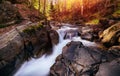 Amazing landscape mountain river in autumn forest at sunlight. View of stone water rapids and small waterfall. Royalty Free Stock Photo