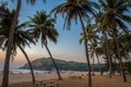 Amazing landscape with Plm trees and Indian Ocean and people at distance