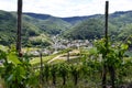 Vineyards in summer with the village of Rech in the background