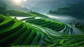 Amazing landscape of rice terraces in Vietnam. Beautiful green terraced rice fields in Mu Cang Chai, Vietnam