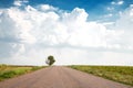 Amazing landscape. The road recedes into the distance and a lonely tree on the side of the road. Horizontal photo Royalty Free Stock Photo