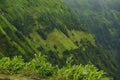 Sao Miguel green landscape, Azores, Portugal Royalty Free Stock Photo