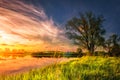 Amazing landscape of summer nature on river shore at sunset with colorful cloudy sky. Perfect scene large tree on grassy bank Royalty Free Stock Photo