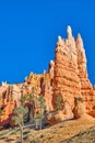 Amazing landscape view of Bryce Canyon National Park Royalty Free Stock Photo