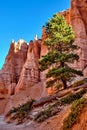 Amazing landscape view of Bryce Canyon National Park Royalty Free Stock Photo