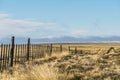 Amazing landscape view golden yellow dried glass hill with fence in autumn with cloud blue sky in south Patagonia, Chile and