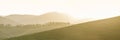 Amazing landscape view of tea plantation on sunset or sunrise time in China. Horizontal long banner for web design of natural Royalty Free Stock Photo