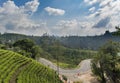 Amazing landscape view of the tea plantations and near by road Royalty Free Stock Photo