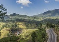 Amazing landscape view of the tea plantations and road among mountains Royalty Free Stock Photo