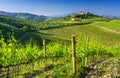 Amazing landscape of vineyards in Toscany,Italy Royalty Free Stock Photo