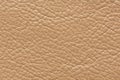 Amazing light leather texture with relief surface.