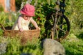 A cute little girl sits on a hay in a basket in the garden Royalty Free Stock Photo
