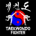 amazing logo taekwondo icon vector logo