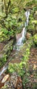 Amazing Madeira waterfall landscape