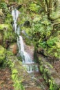 Amazing Madeira waterfall landscape