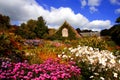 amazing magic garden with flowers and house