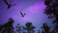 Amazing magical creatures fly over a mysterious night forest. Looping for fantasy, fiction or fabulous backgrounds. 3D Royalty Free Stock Photo