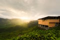 Amazing Malaysia landscape. View of tea plantation in sunset/sunrise time in in Cameron highlands, Malaysia. Nature background wi Royalty Free Stock Photo