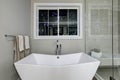 Amazing master bathroom with freestanding tub Royalty Free Stock Photo