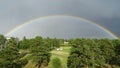 An unusual rainbow over the forest on a summer day.