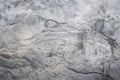 amazing Modern grey paint limestone texture background generative AI