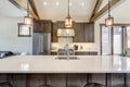 Amazing modern and rustic luxury kitchen with vaulted ceiling and wooden beams, long island with white quarts countertop