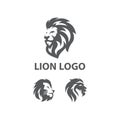 Amazing Modern Strong Lion Head Black White Concept Design