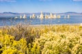 Amazing Mono Lake, California, USA Royalty Free Stock Photo