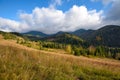 Amazing mountain landscape with colorful trees and herbs. Autumn sunny day. Carpathian, Ukraine, Europe Royalty Free Stock Photo