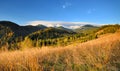 Amazing mountain landscape with colorful trees and herbs. Autumn sunny morning. Carpathian, Ukraine Royalty Free Stock Photo