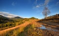 Amazing mountain landscape with colorful trees and herbs. Autumn sunny morning. Carpathian, Ukraine Royalty Free Stock Photo