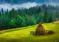 Amazing mountain landscape with fog Royalty Free Stock Photo