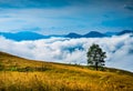 Amazing mountain landscape with fog Royalty Free Stock Photo