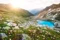 Amazing mountain sunny landscape with blue lake and pink rhododendron flowers Royalty Free Stock Photo