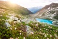 Amazing mountain sunny landscape with blue lake and pink rhododendron flowers Royalty Free Stock Photo