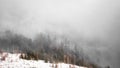 Amazing mystical rising fog sky forest snow snowy trees landscape snowscape in black forest Schwarzwald winter, Germany