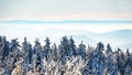 Amazing mystical rising fog sky forest snow snowy trees landscape snowscape in black forest Schwarzwald winter, Germany