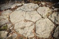 Amazing natural pentagonal stones.