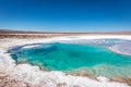 Amazing natural scenario at Atacama Royalty Free Stock Photo