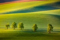 Amazing natural spring scenic landscape with trees and the agricultural waving hills of South Moravia region, Czech Republic Royalty Free Stock Photo