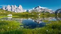 Amazing Nature Landscape. Alpine lake with crystal clear water and frash grass and flowers. Perfect Blue sky and