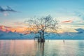 Amazing nature landscape , lonely tree in the lake