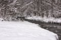 Amazing nature landscape with mountain creek and snow covered trees in the winter forest Royalty Free Stock Photo