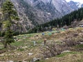 Amazing trekking view in nature kheerganga Uttarakhand