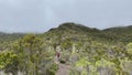 The amazing nature of Tanzania. A group of tourists goes up the mountain. Mountain landscape