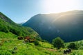 Amazing nature view with fjord and mountains. Scandinavian Mountains, Norway. Artistic picture. Beauty world.