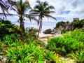 Amazing nature view with plants, rocks, palms and sea